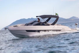 WhatsApp Image 2025-02-04 at 11.11.30